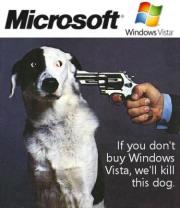 buy windaube vista or i kill this dog