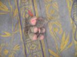 petit éléphant gris et rose