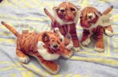 trois petites peluches de tigres