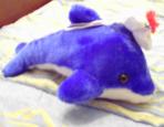 dauphin bleu avec un bonnet