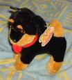 chien noir en peluche