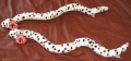 deux serpents blancs en peluche